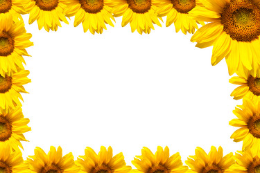 Similar image 7688710