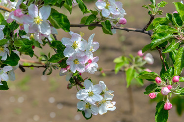 Similar image 7688718