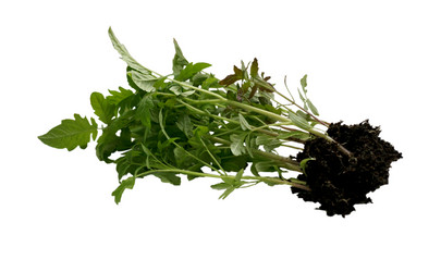 Similar image 7688728