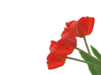 Similar image 7688729