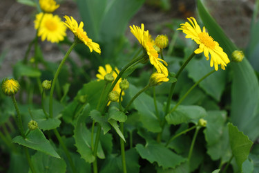 Similar image 7688732