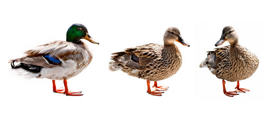 Similar image 7688828