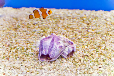 Similar image 7688914