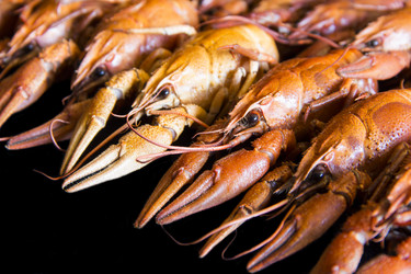 Similar image 7688918