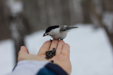 Similar image 7689263