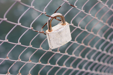 Similar image 7689282