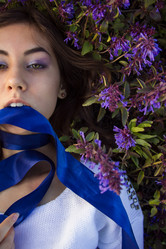 Similar image 7689372