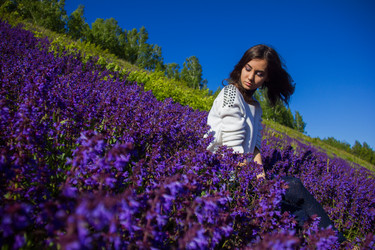 Similar image 7689373