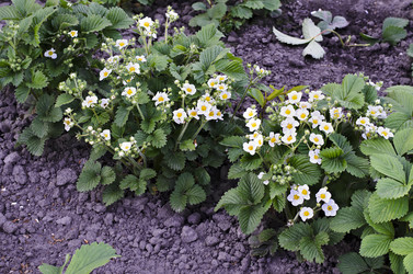 Similar image 7689419