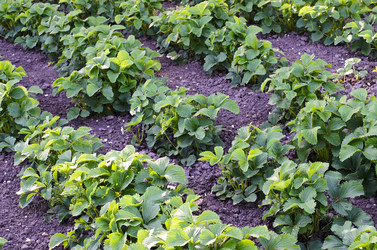 Similar image 7689420