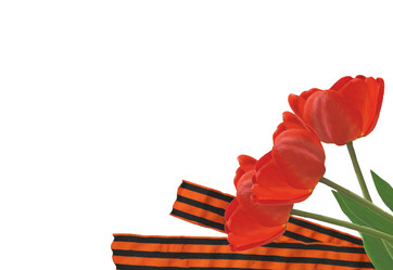 Similar image 7689862