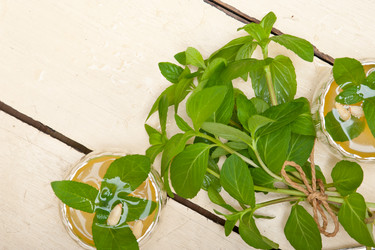 Similar image 7690041