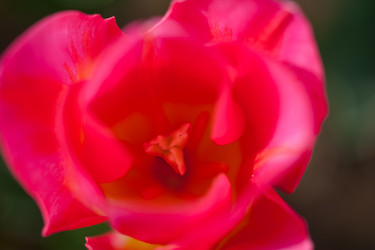 Similar image 7690090