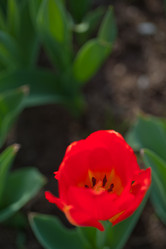 Similar image 7690095