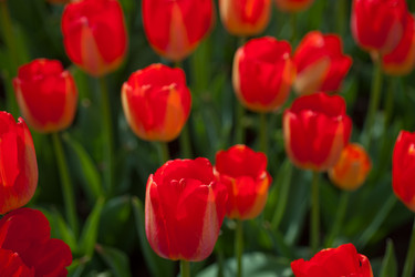 Similar image 7690102