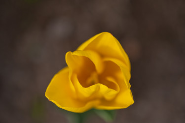 Similar image 7690106