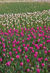 Similar image 7690108