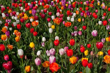 Similar image 7690121