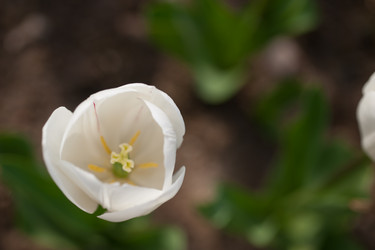 Similar image 7690310