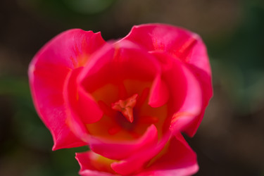 Similar image 7690313