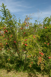 Similar image 7690435