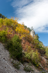 Similar image 7690445