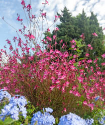 Similar image 7690448