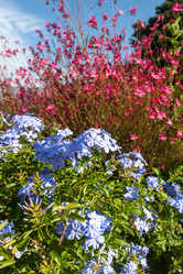 Similar image 7690454