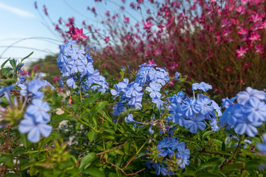 Similar image 7690460