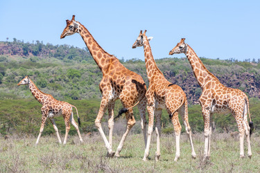 Similar image 7690549