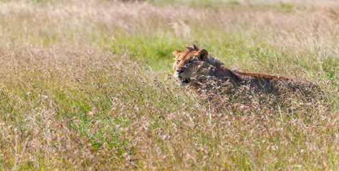 Similar image 7690590