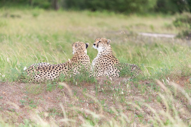 Similar image 7690771