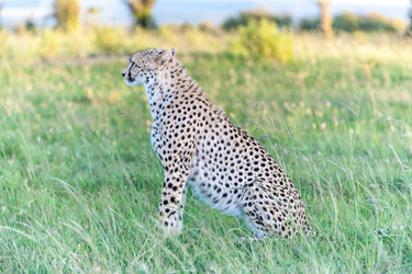 Similar image 7690788