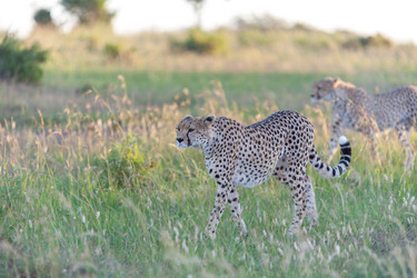 Similar image 7690801