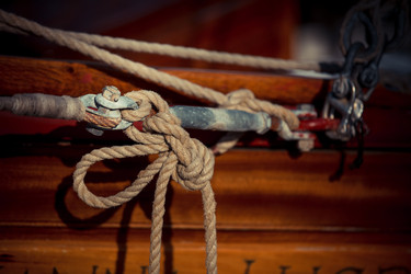 Similar image 7690908