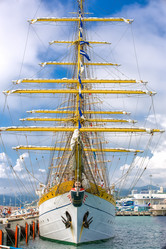 Similar image 7690915