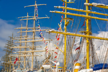 Similar image 7690916