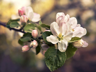 Similar image 7690970