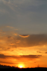 Similar image 7691034