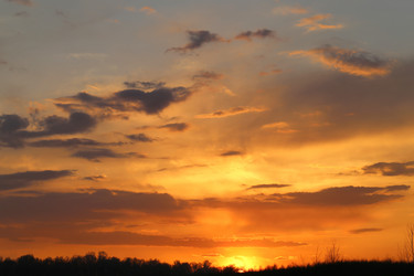 Similar image 7691035