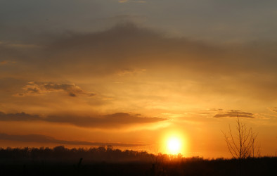 Similar image 7691038