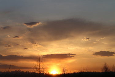 Similar image 7691039