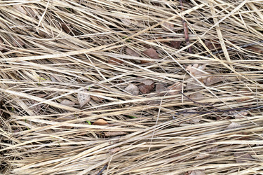 Similar image 7691040