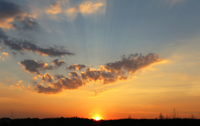 Similar image 7691041