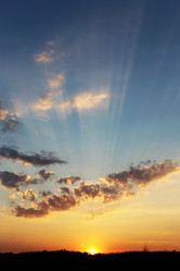 Similar image 7691042