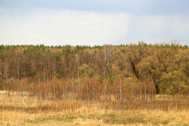 Similar image 7691050