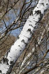 Similar image 7691057