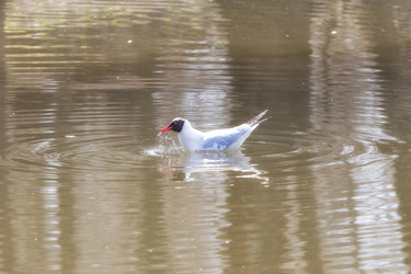 Similar image 7691102