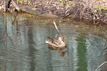 Similar image 7691103