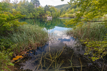 Similar image 7691296